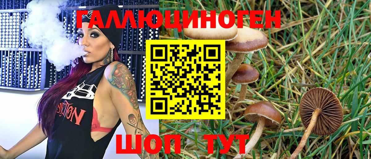 Псилоцибиновые грибы Psilocybine cubensis Нижневартовск