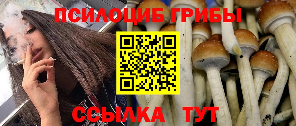Псилоцибиновые грибы Magic Shrooms  Вход с VPN  Нижневартовск 